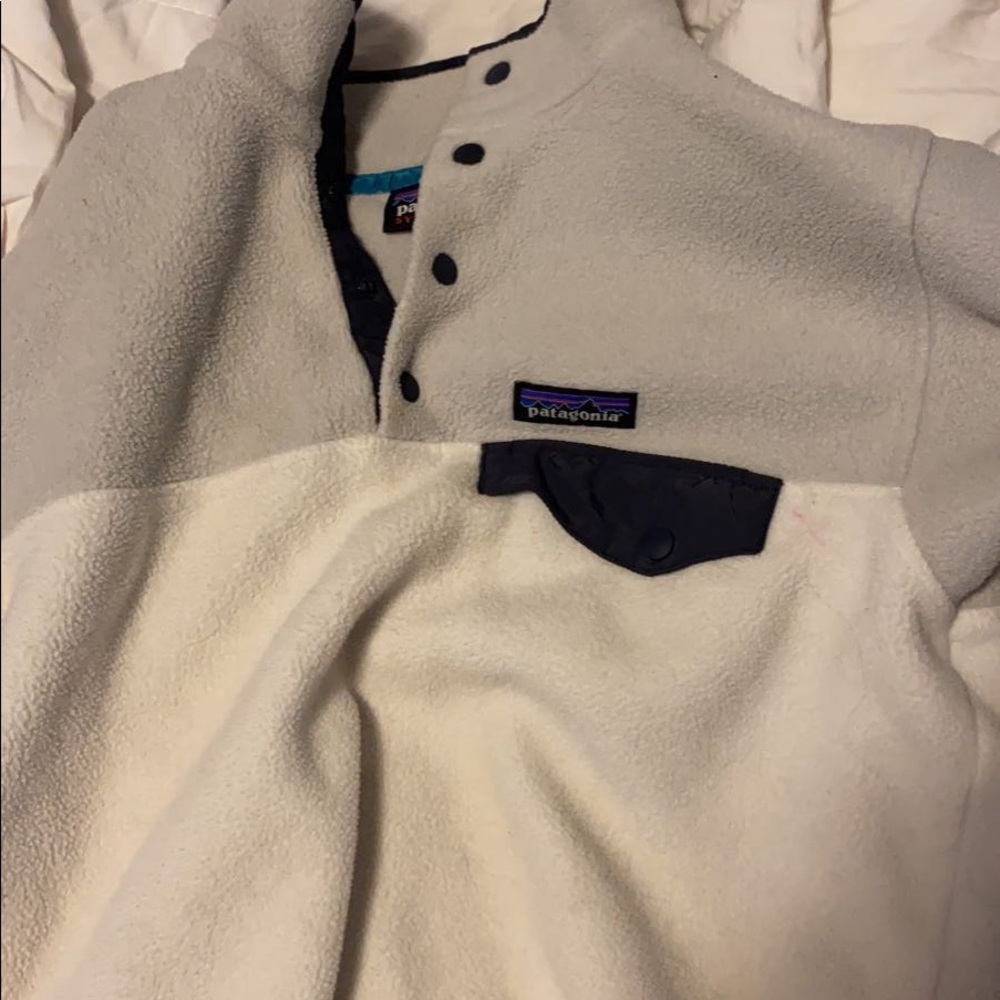 Patagonia sweatshirt
